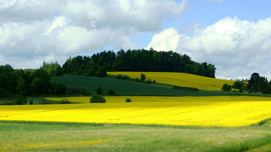 Landschaftsbild